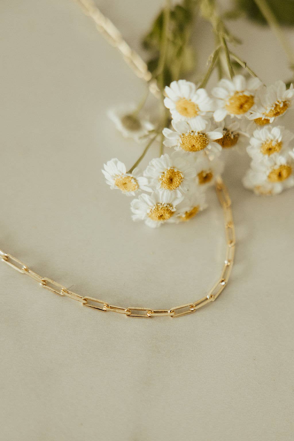 Madeline Gold Filled Paperclip Necklace - Mauve Jewelry Co.